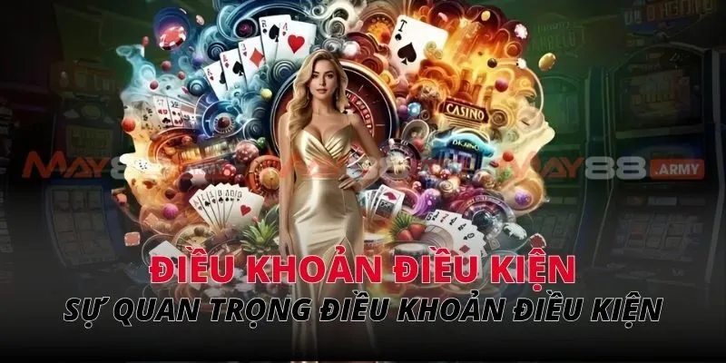 Sự quan trọng của việc nắm bắt điều khoản điều kiện May88